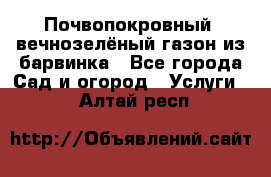 Почвопокровный, вечнозелёный газон из барвинка - Все города Сад и огород » Услуги   . Алтай респ.